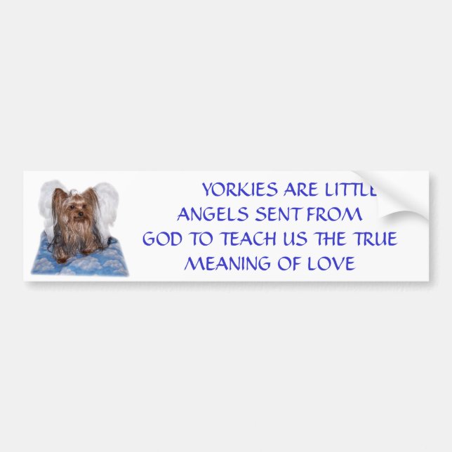 100_0580,        YORKIES ARE LITTLE ANGELS SENT... BUMPER STICKER (Front)