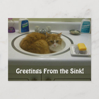 100_2687, Greetings From the Sink! Postcard