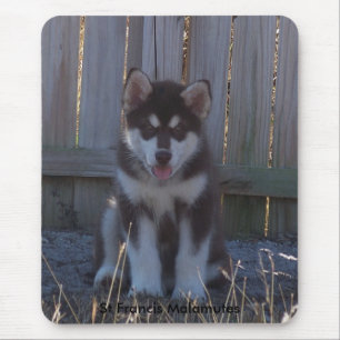 100_2932, St Francis Malamutes Mouse Mat