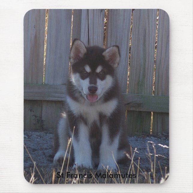 100_2932, St Francis Malamutes Mouse Mat (Front)