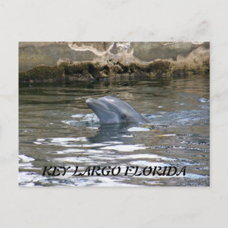 100_8578, KEY LARGO FLORIDA POSTCARD