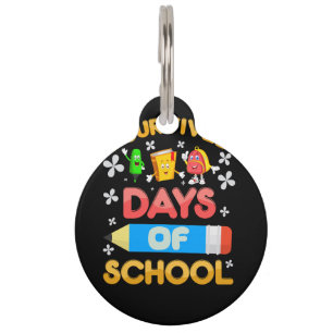 100 days of school colourful t-shirt design print pet tag