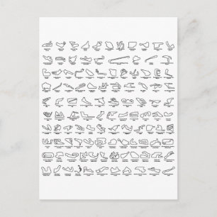 100 of the World's Best Race Tracks Postcard