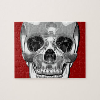 [100] Silver Human Skull Jigsaw Puzzle