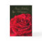 100th Birthday Card with a classic red rose