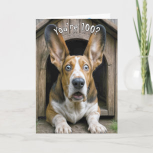 100th Birthday Humor with Basset Hound  Card