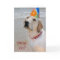 100th Birthday Retriever