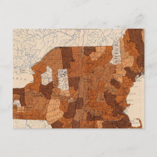 101 Consumption NY, NJ, New England Postcard