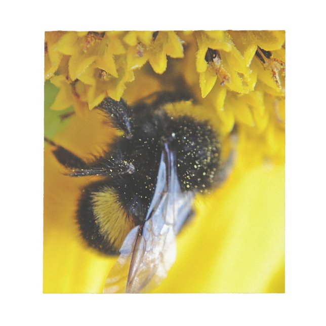 101.JPG NOTEPAD (Front)