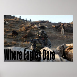 101st Airborne Poster