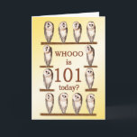 101st Birthday, Curious Owls Card<br><div class="desc">101st birthday card. Curious owls turning their heads to look at you and asking 'Who has a birthday today?'. A funny birthday card for anybody who likes owls. The owls shown are barn owls.</div>