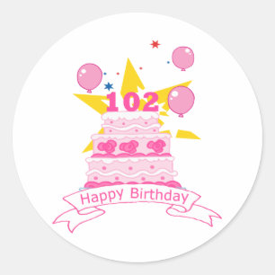 102 Year Old Birthday Cake Classic Round Sticker