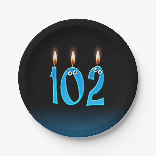 102nd Birthday with lit candle numbers Paper Plate (Front)