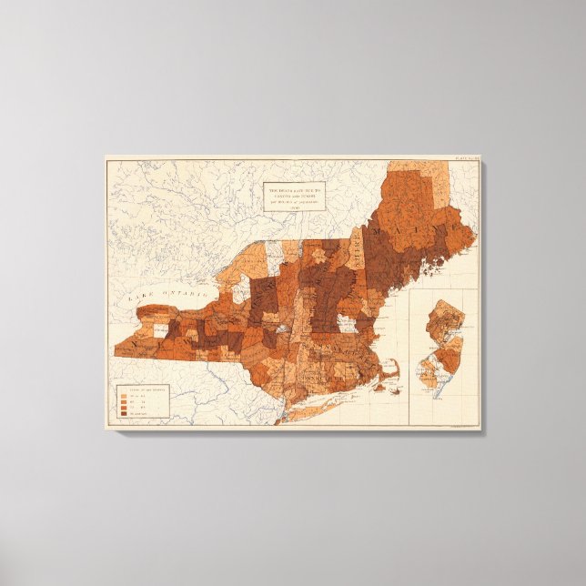 103 Cancer, tumour NY, NJ, New England Canvas Print (Front)