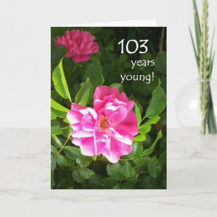 103rd Birthday Card - Pink Roses