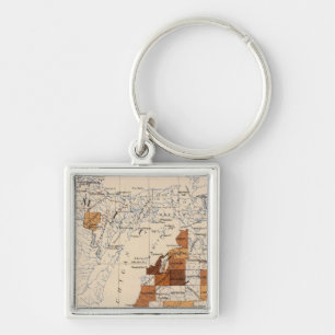 104 Cancer, tumour Michigan Key Ring