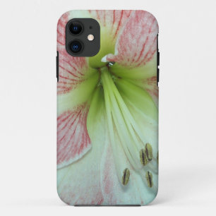 104a Amaryllis Apple Blossom open 2 iPhone 11 Case