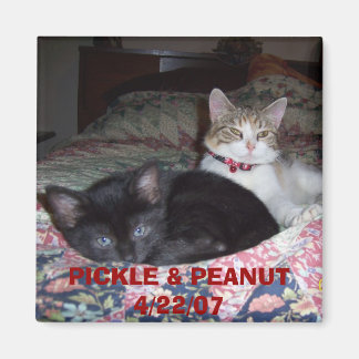 105_1036, PICKLE & PEANUT 4/22/07 MAGNET