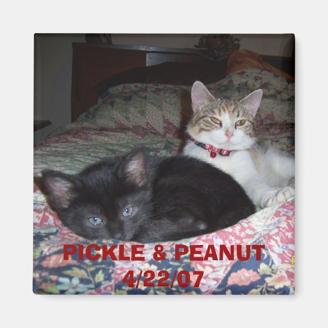 105_1036, PICKLE & PEANUT 4/22/07 MAGNET (Front)