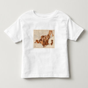 105 Diphtheria, croup NY, NJ, New England Toddler T-Shirt