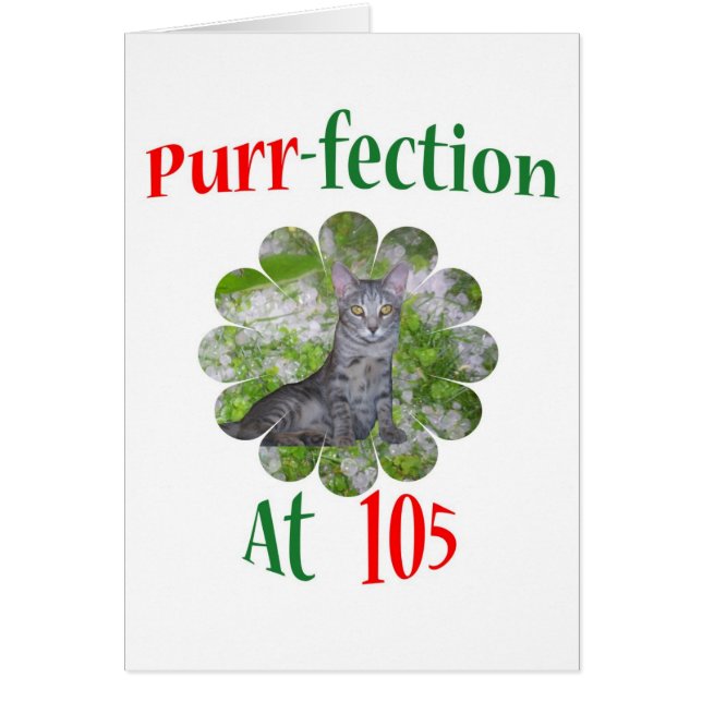 105 Purr-fection (Front)