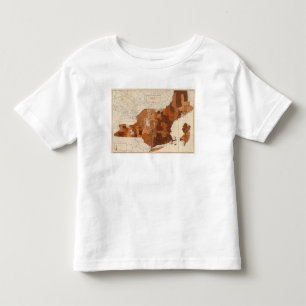 107 Influenza NY, NJ, New England Toddler T-Shirt