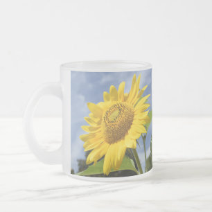 10,000 Suns Frosted Glass Coffee Mug