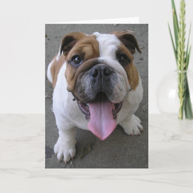 10-04-05 003 CARD (Front)