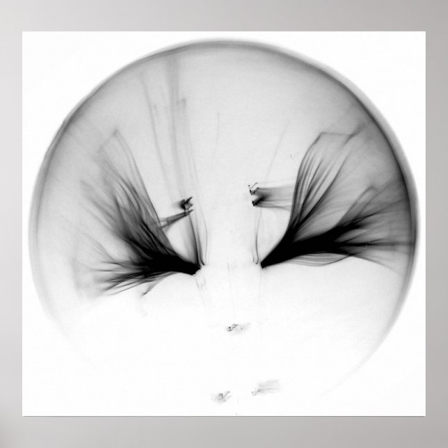 10^23 #1 POSTER (Front)