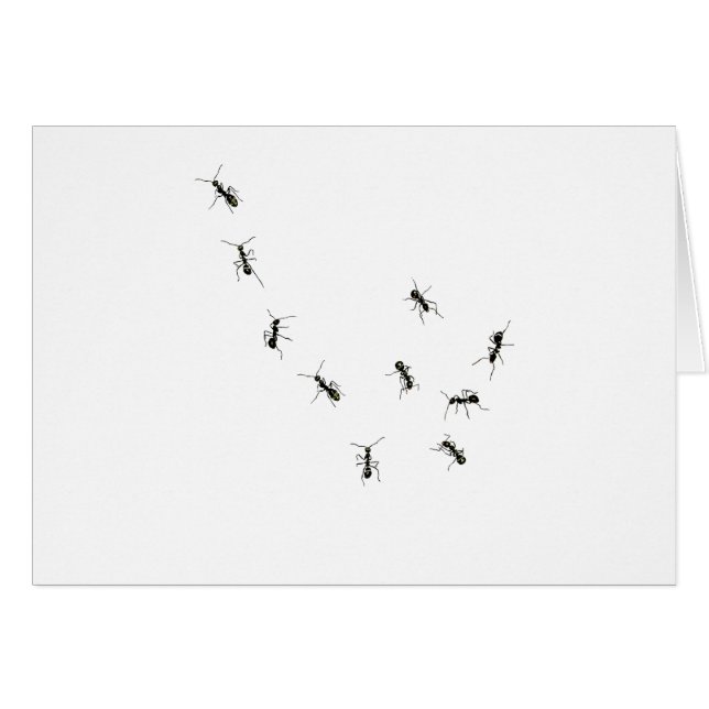 10 ants (Front Horizontal)