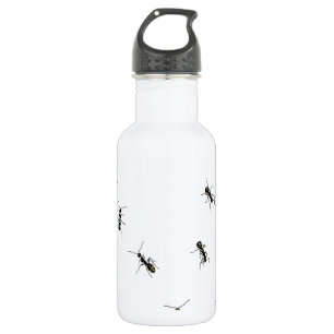 10 ants 532 ml water bottle