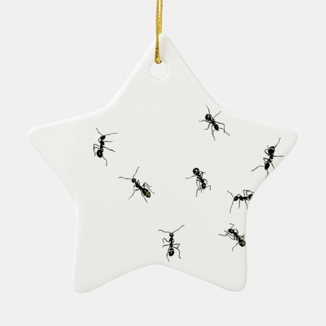 10 ants ceramic tree decoration (Front)