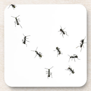 10 ants coaster