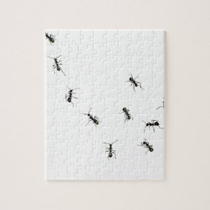 10 ants jigsaw puzzle