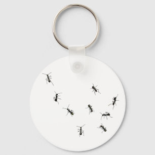 10 ants key ring