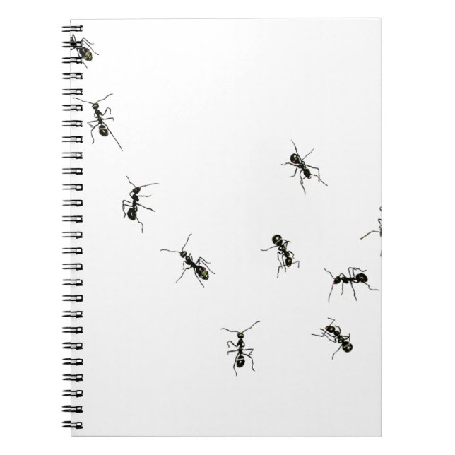10 ants notebook (Front)
