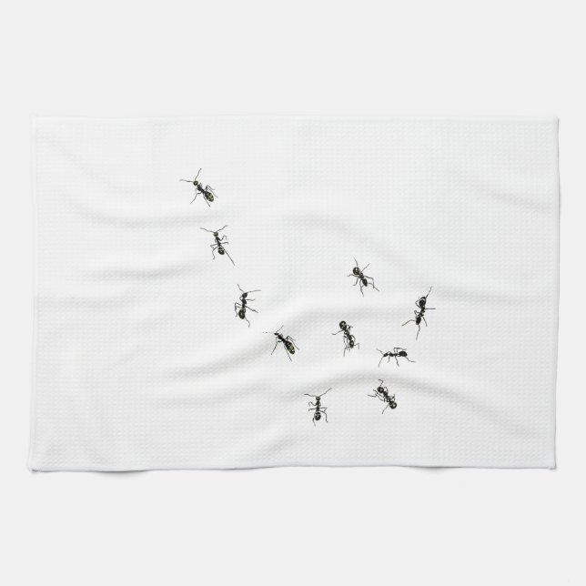 10 ants tea towel (Horizontal)