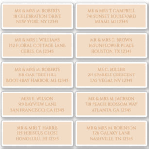 10 Individual Guest Name Address Champagne Gold