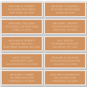 10 Individual Guest Name Address Champagne Gold