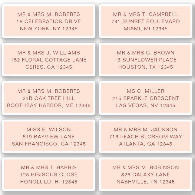 10 Individual Guest Name Address Party Wedding (Front)