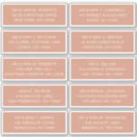 10 Individual Guest Name Address Party Wedding<br><div class="desc">10 Individual Guest Name Address Party Wedding White Script Stickers features 10 stickers with your individual guest name and address on each sticker in white script typography on a putty brown background. Perfect for wedding invitations, Christmas and Holiday cards, party invitations, thank you cards and office mail outs. Simply edit...</div>