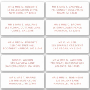 10 Individual Guest Name Address Party Wedding