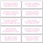 10 Individual Guest Name Address Party Wedding<br><div class="desc">10 Individual Guest Name Address Party Wedding Pink Script Stickers features 10 stickers with your individual guest name and address on each sticker in pink on a white background. Also perfect for Christmas and Holiday cards, party invitations, thank you cards and office mail outs. Simply edit the text in the...</div>