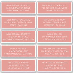 10 Individual Guest Name Address Party Wedding