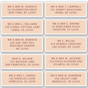 10 Individual Guest Name Address Party Wedding