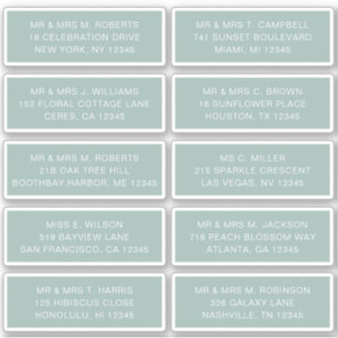 10 Individual Guest Name Address Party Wedding Sti