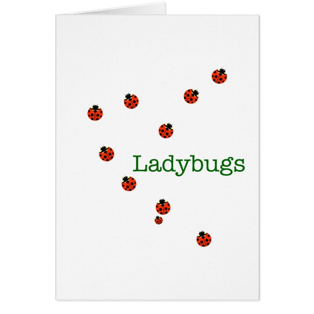 10 ladybugs (Front)