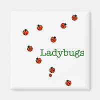 10 ladybugs