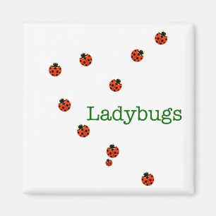 10 ladybugs magnet