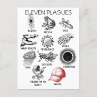 10 Plagues Humour